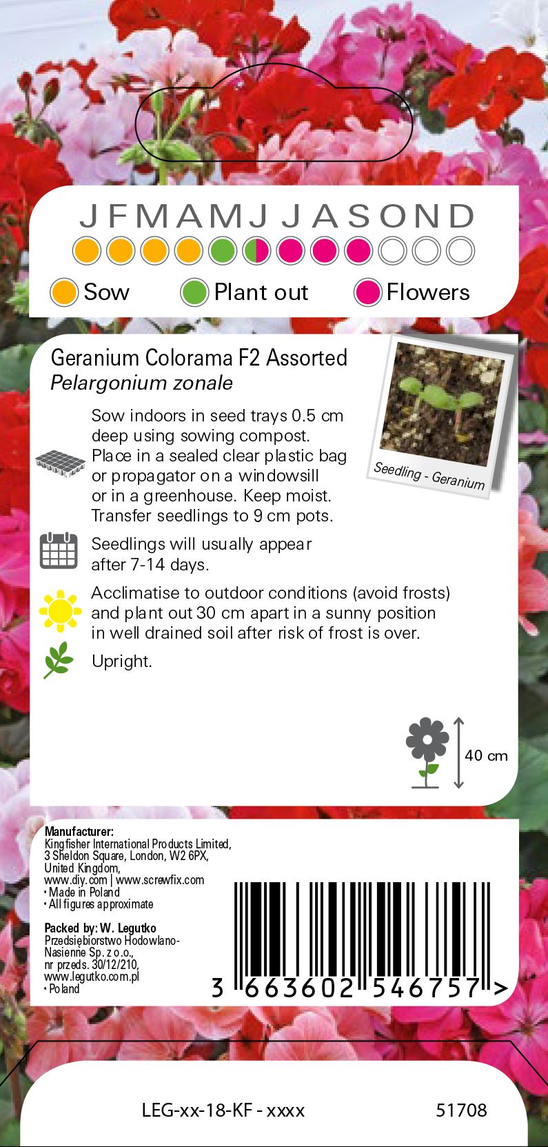 Colorama F2 Geranium Seed