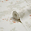 Colours Blossoming Cream Birds & foliage Gold effect Textured Wallpaper