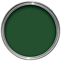 Colours Buckingham green Gloss Exterior Metal & wood paint, 750ml