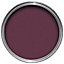 Colours Dark plum Gloss Exterior Metal & wood paint, 750ml