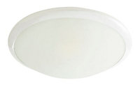 Colours Dulcis Brushed Glass & metal White Ceiling light