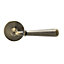 Colours Leba Brass effect Aluminium Straight Latch Door handle (L)116mm
