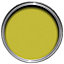 Colours Lime Satin Metal & wood paint, 750ml