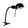 Colours Tutti Goose neck Black Incandescent Clip-on desk lamp