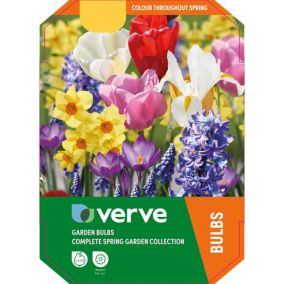 Complete Spring Garden Collection 100 Flower bulbs