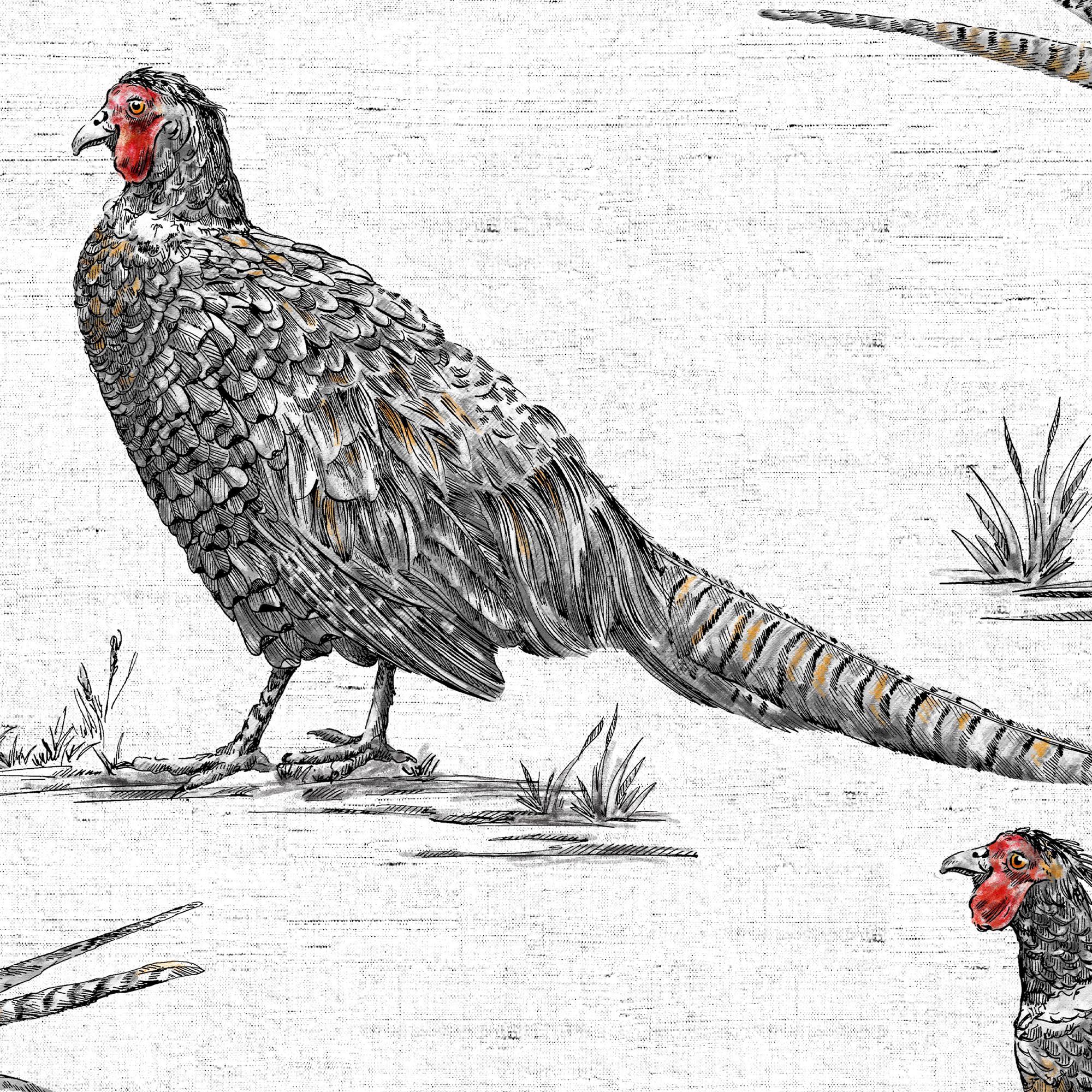 Contour Multicolour Pheasant Smooth Wallpaper