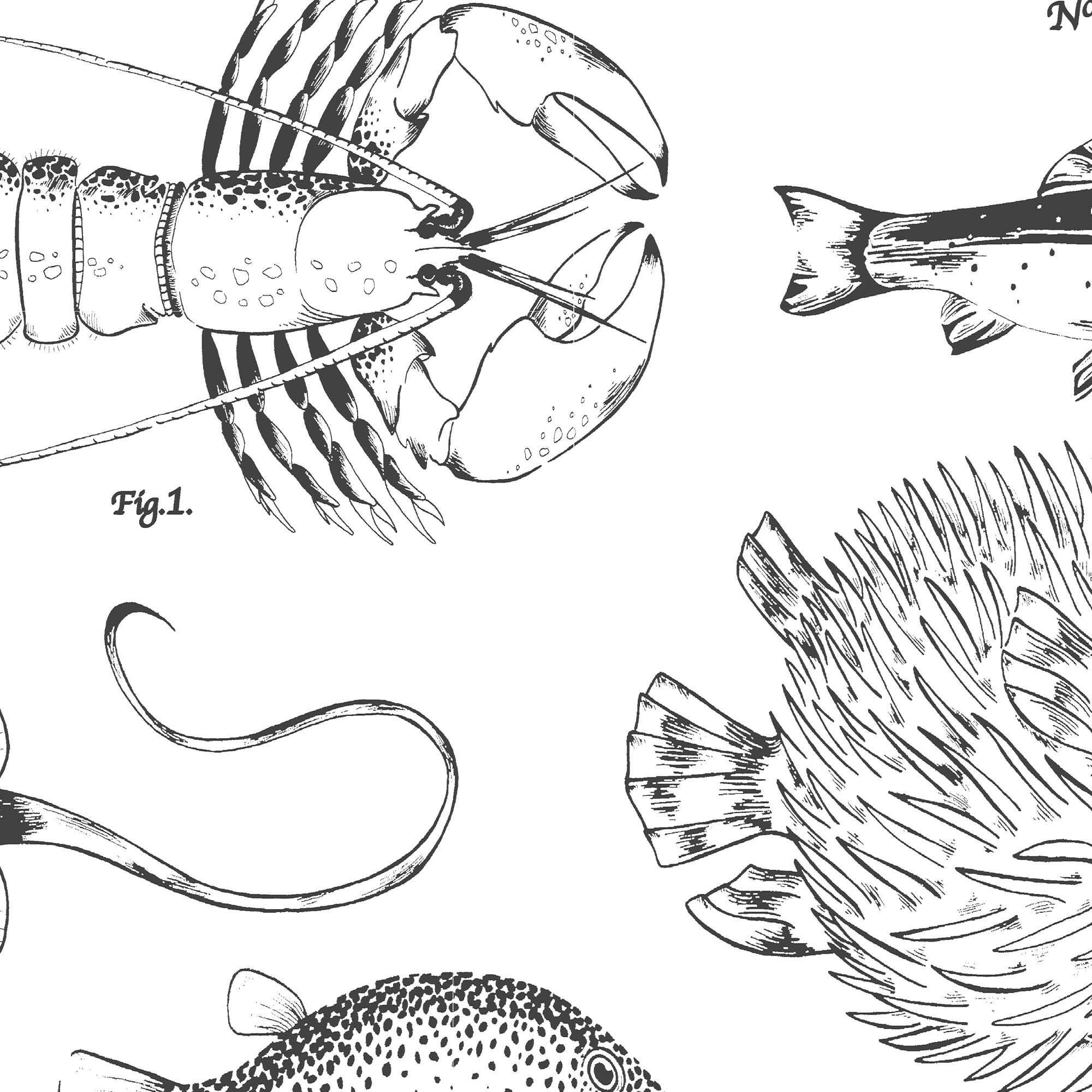 Contour White Monochrome effect Ocean life Smooth Wallpaper Sample
