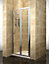 Cooke & Lewis Deluvio Minimal frame Silver effect Clear Bi-fold Shower Door (H)190cm (W)90cm