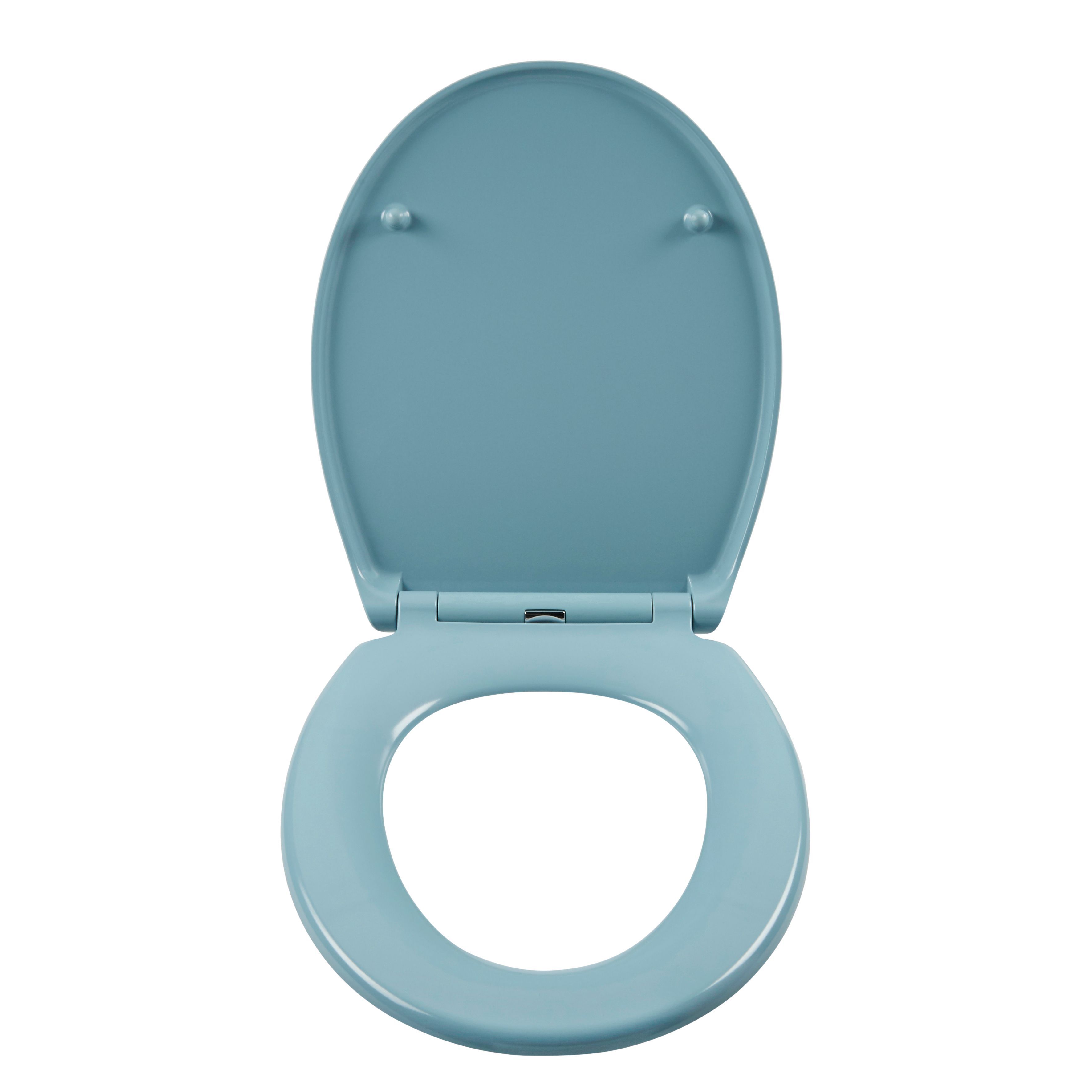 Cooke & Lewis Diani Blue Soft close Toilet seat
