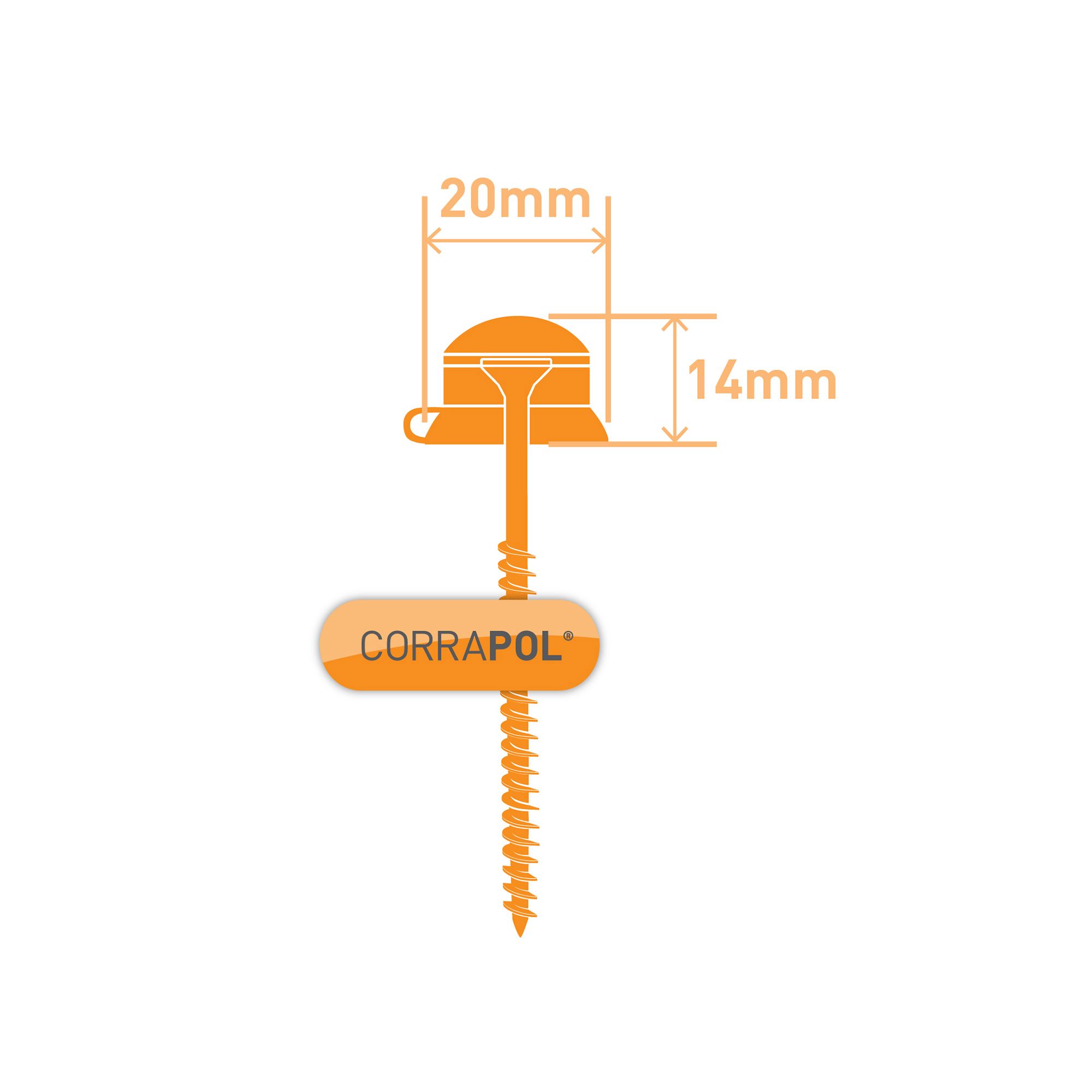 Corrapol PZ Clear Polycarbonate (PC) & steel Roofing screw (Dia)60mm (L)60mm, Pack of 50