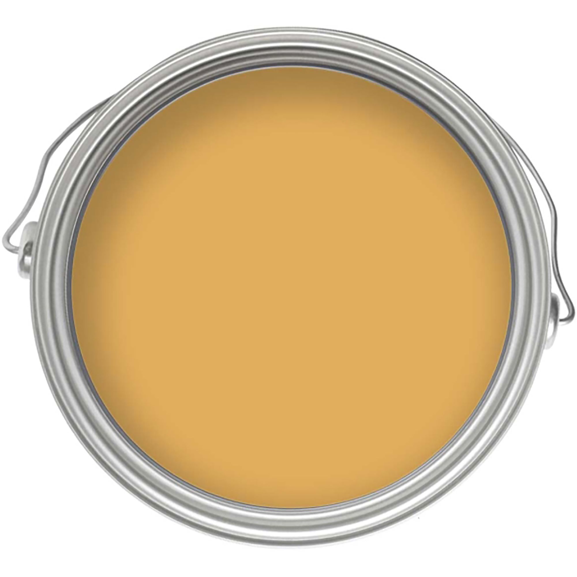 Craig & Rose 1829 Jarosite  Chalky Emulsion paint, 2.5L