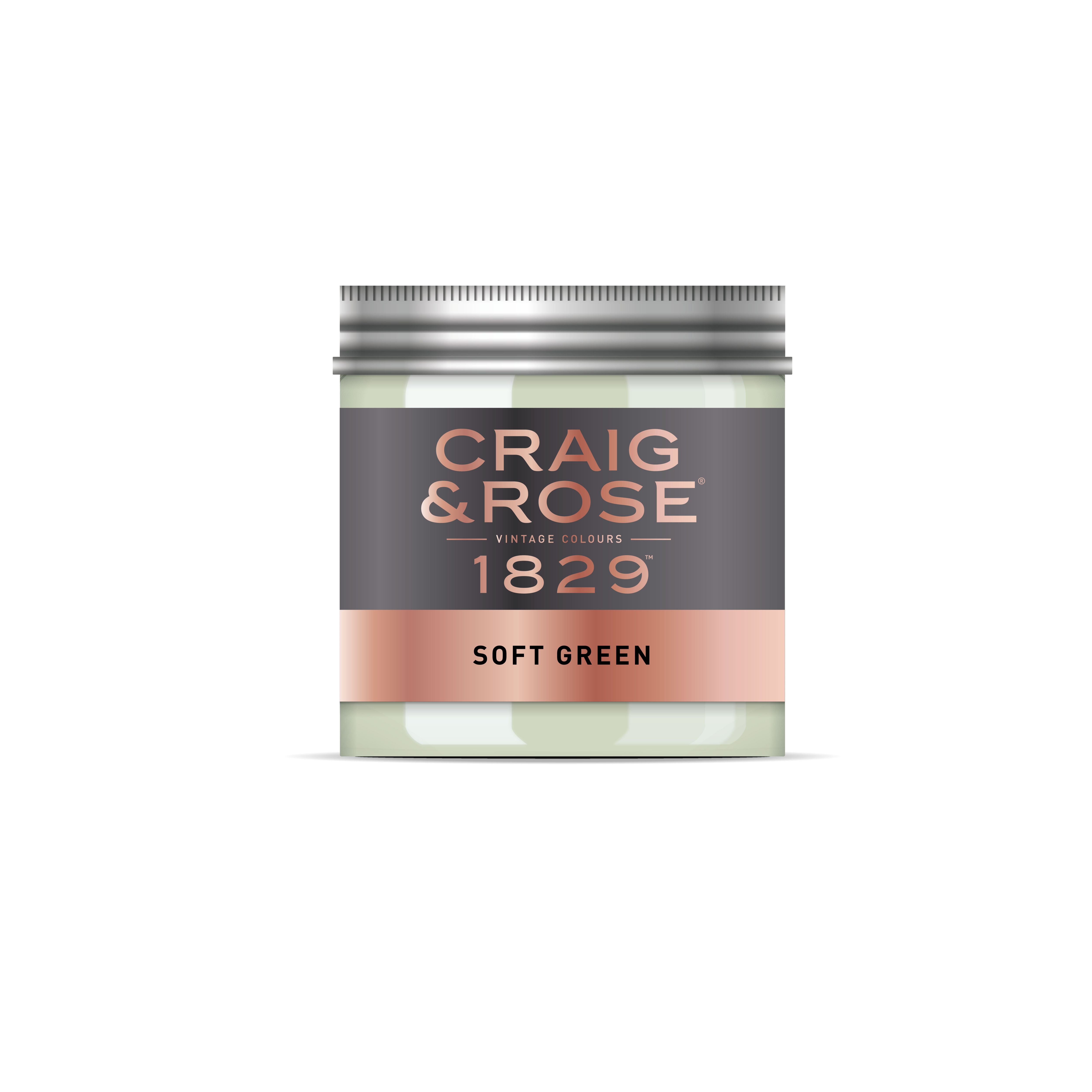 Craig & Rose 1829 Soft Green Chalky Emulsion paint, 50ml