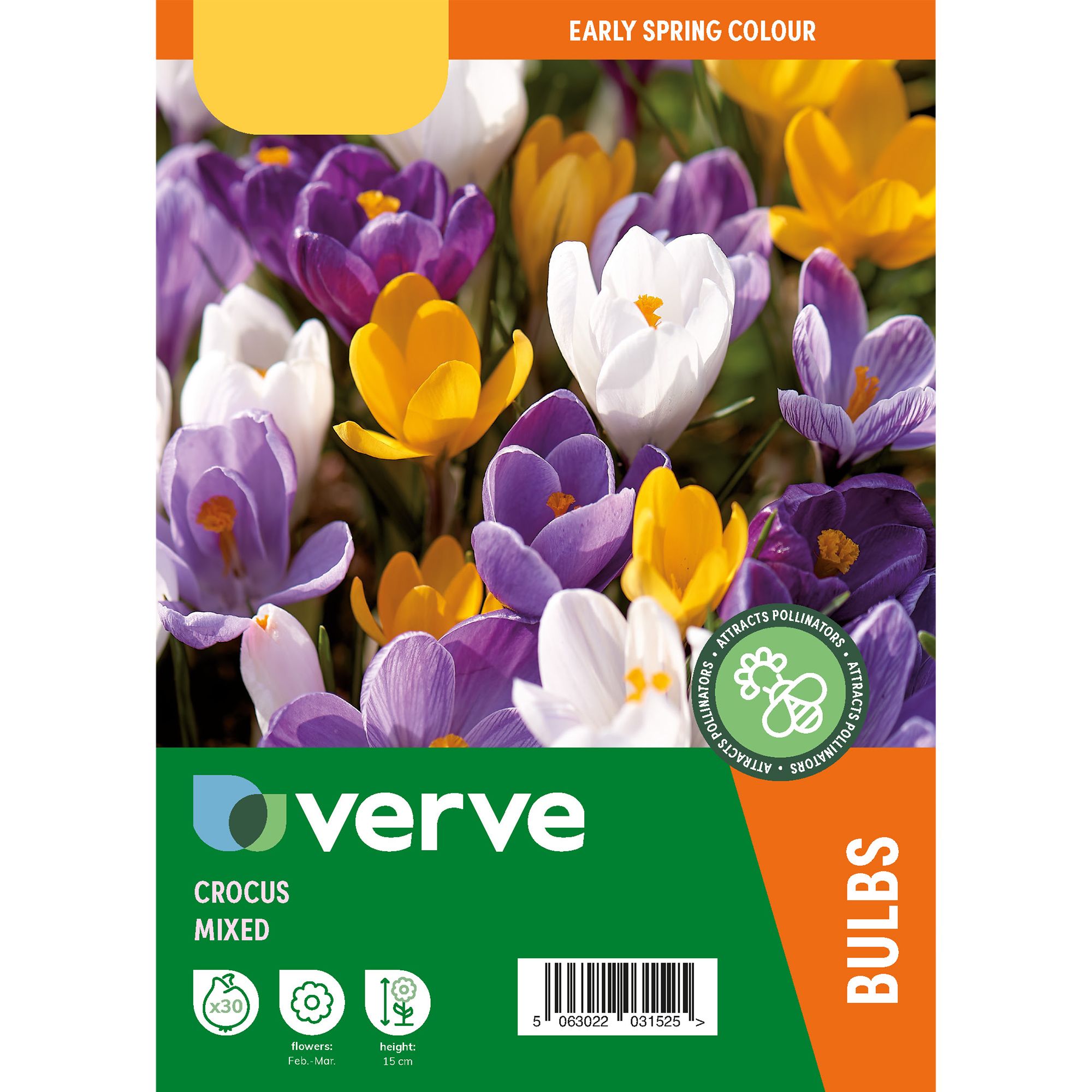 Crocus Mixed (Large flowering) Mix Flower bulb of 30 | Tradepoint