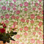D-C-Fix Jerada Floral Pink Self-adhesive film (L)2m (W)450mm