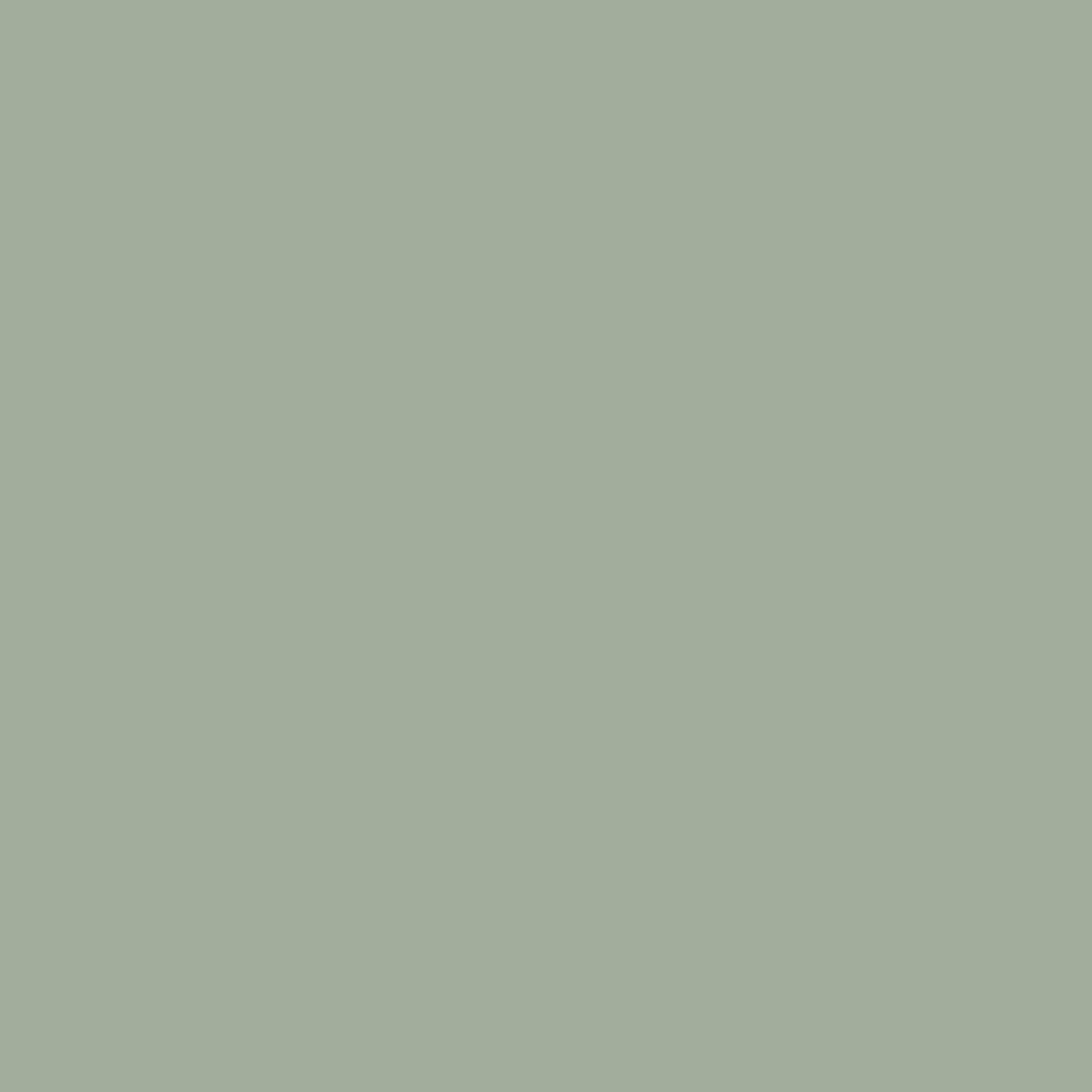 D-C-Fix Matt Sage green Vinyl Self-adhesive film (L)2m (W)450mm