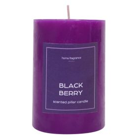 Dark purple Blackberry Pillar candle Medium