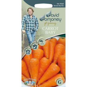 David Domoney (Baby Chantenay) Cascade F1 Carrot Seed