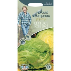 David Domoney Balmoral Lettuce Seed