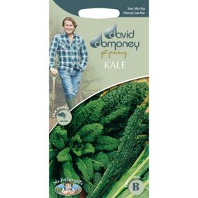 David Domoney Black Tuscany Kale Seed