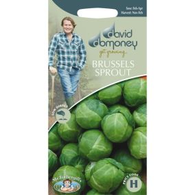 David Domoney Brest F1 Brussel sprout Seed