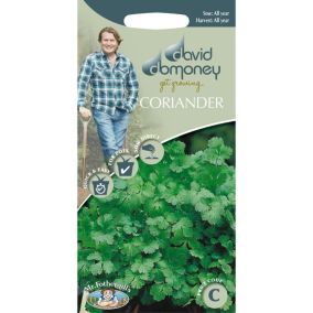 David Domoney Cilantro Coriander Seed