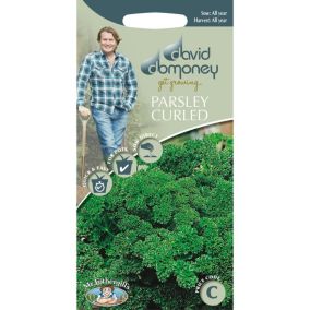 David Domoney Curled Parsley Seed