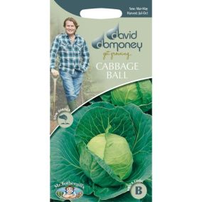 David Domoney Golden Acre/Primo (II) Cabbage Seed