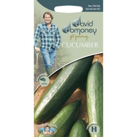 David Domoney La Diva Cucumber Seed