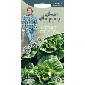 David Domoney Little Gem (Pasatiempo) Lettuce Seed