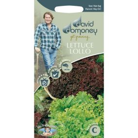 David Domoney Lollo Lettuce Seed