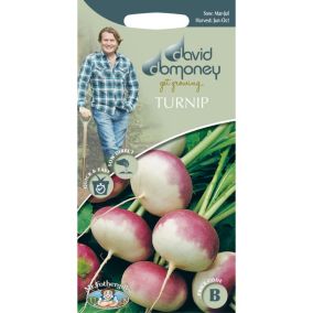 David Domoney Purple Top Milan Turnip Seed