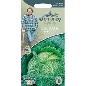David Domoney (Savoy) Ormskirk (I) Cabbage Seed