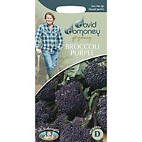 David Domoney (Sprouting) Summer Purple Broccoli Seed