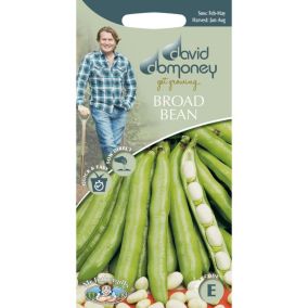 David Domoney Vectra Broad bean Seed