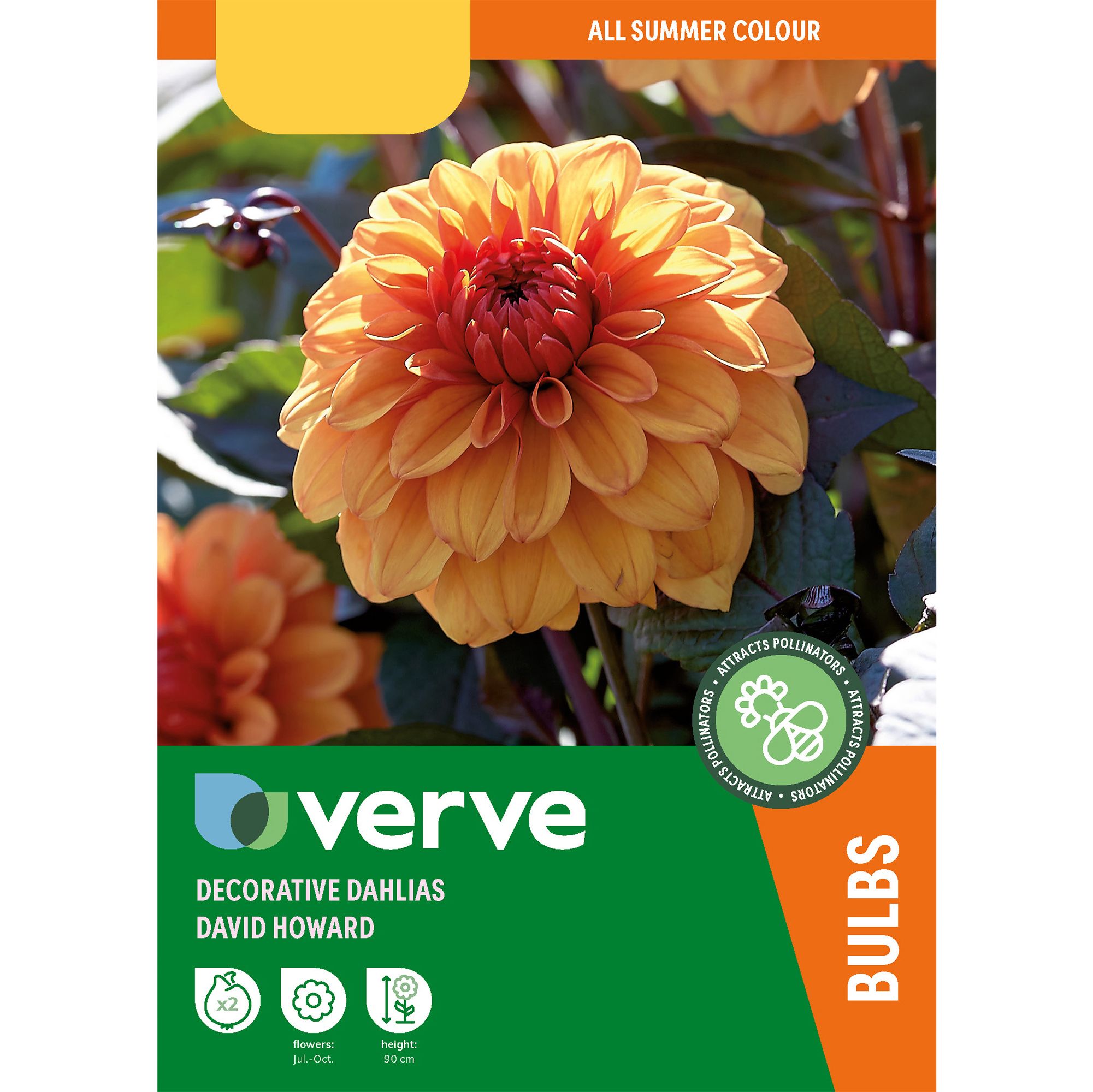 Decorative Dahlia David Howard Flower bulb, Pack of 2