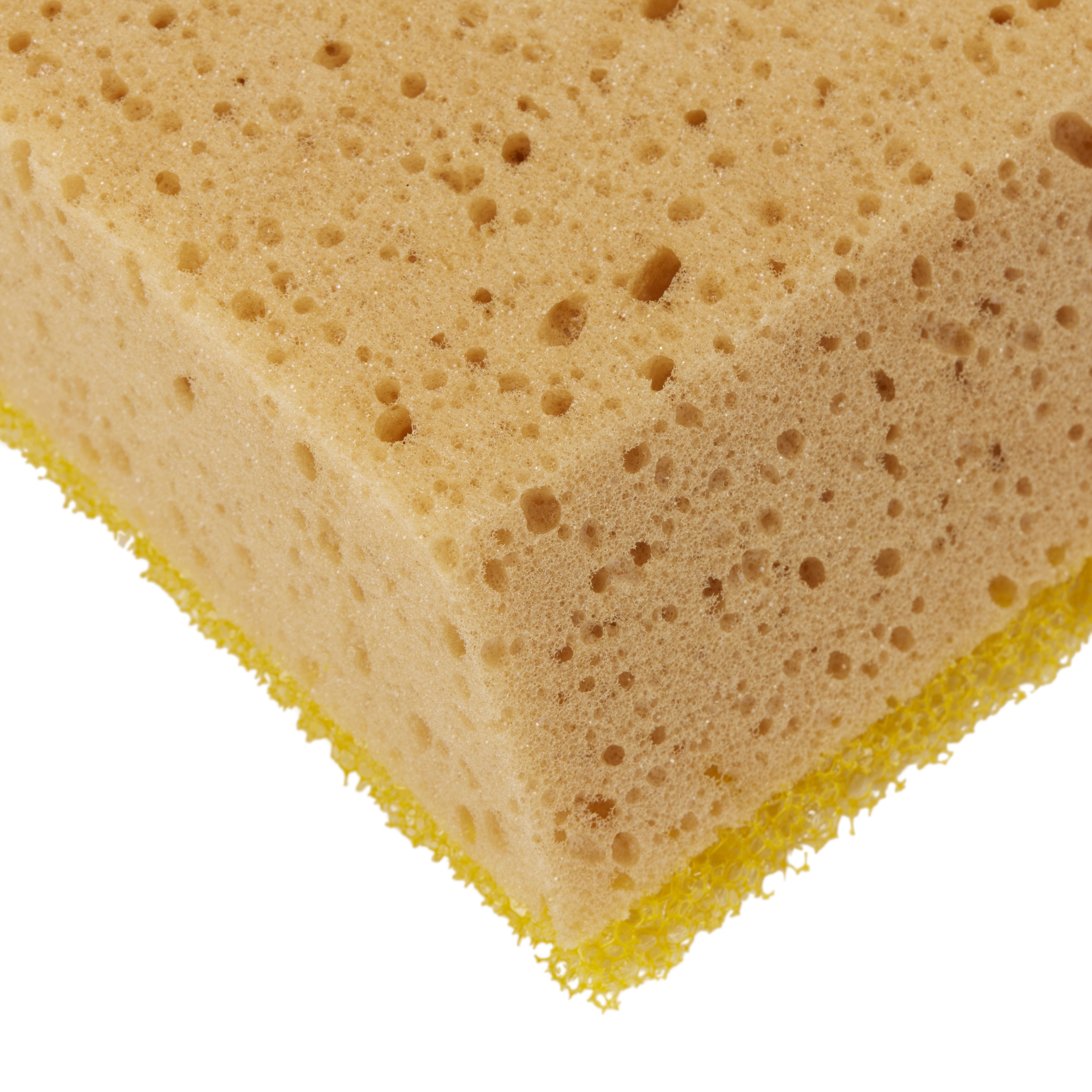 Decorators Cellulose Sponge scourer