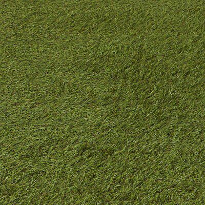 Dennis Medium density Artificial grass Sample (L)0.24m (W)0.17m (T)22mm
