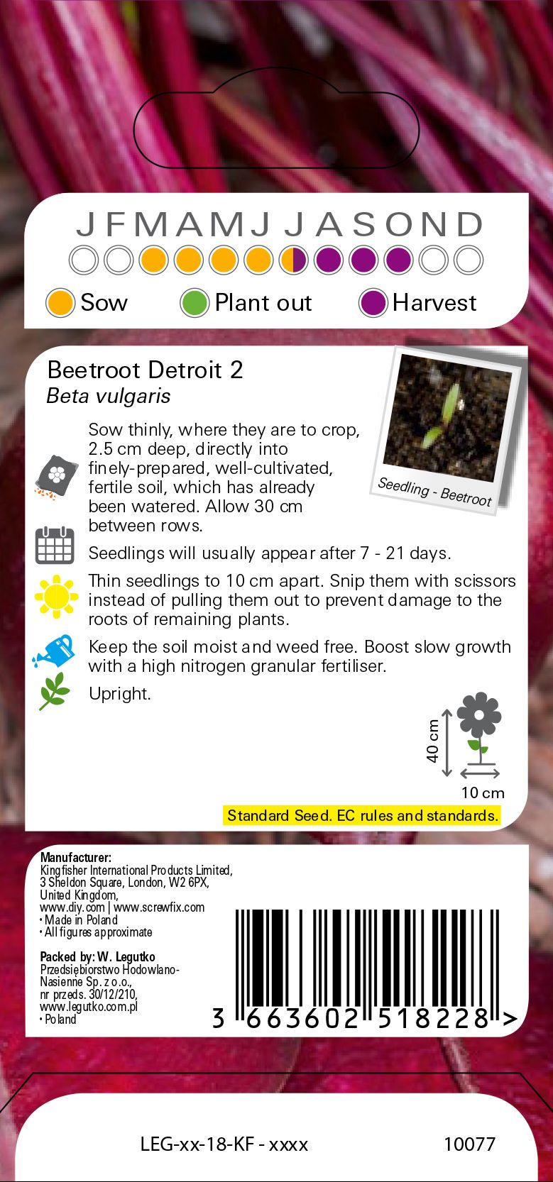 Detroit 2 beetroot Seed
