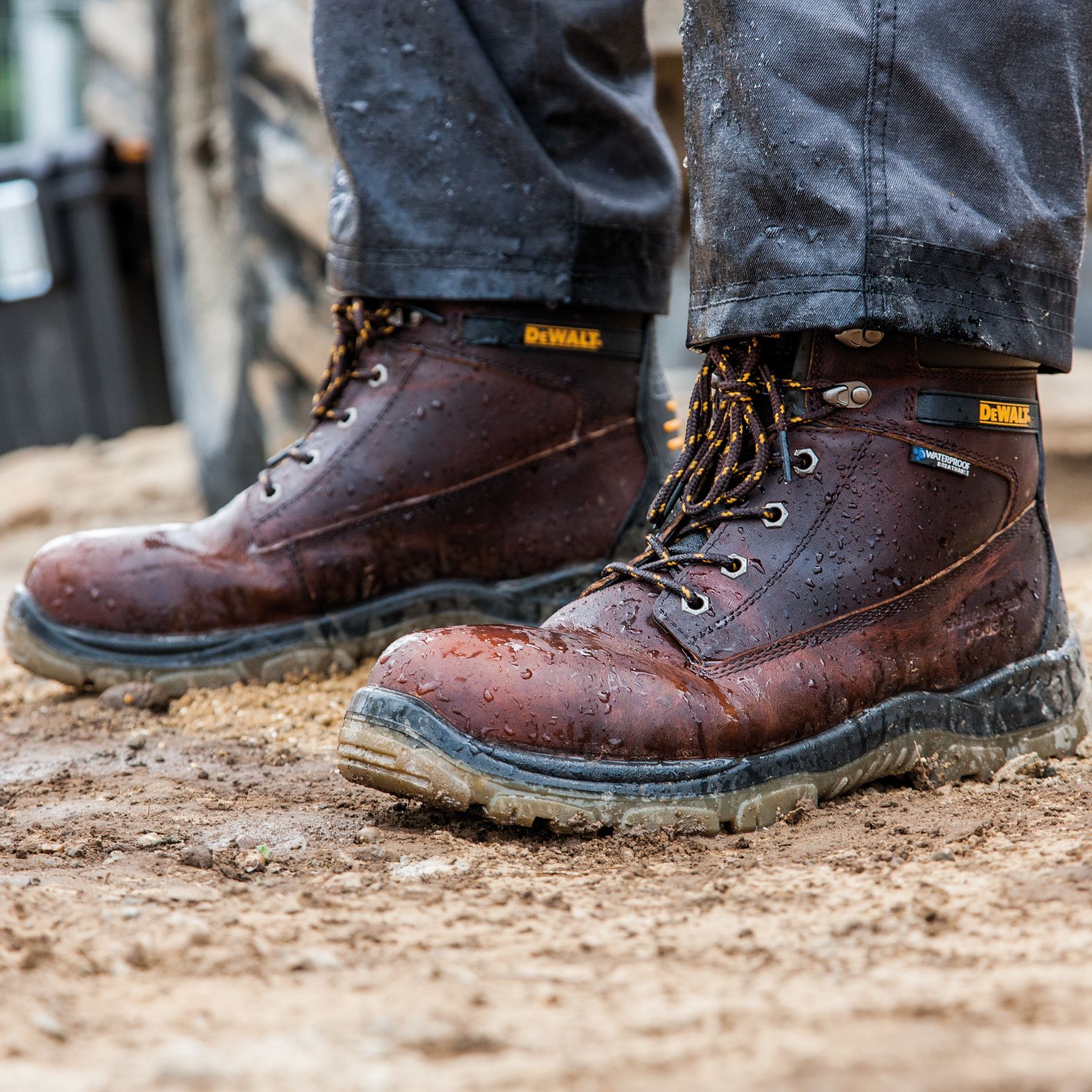 Dewalt titanium store safety boots