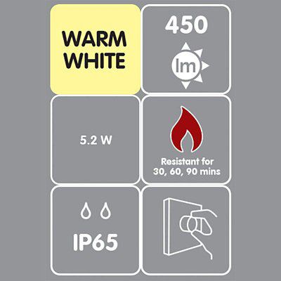 Diall Chrome effect Non adjustable LED Fire rated Warm white Downlight 5W IP65