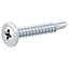 Diall Cruciform Philips Zinc-plated Carbon steel Screw (Dia)4.8mm (L)32mm, Pack of 100