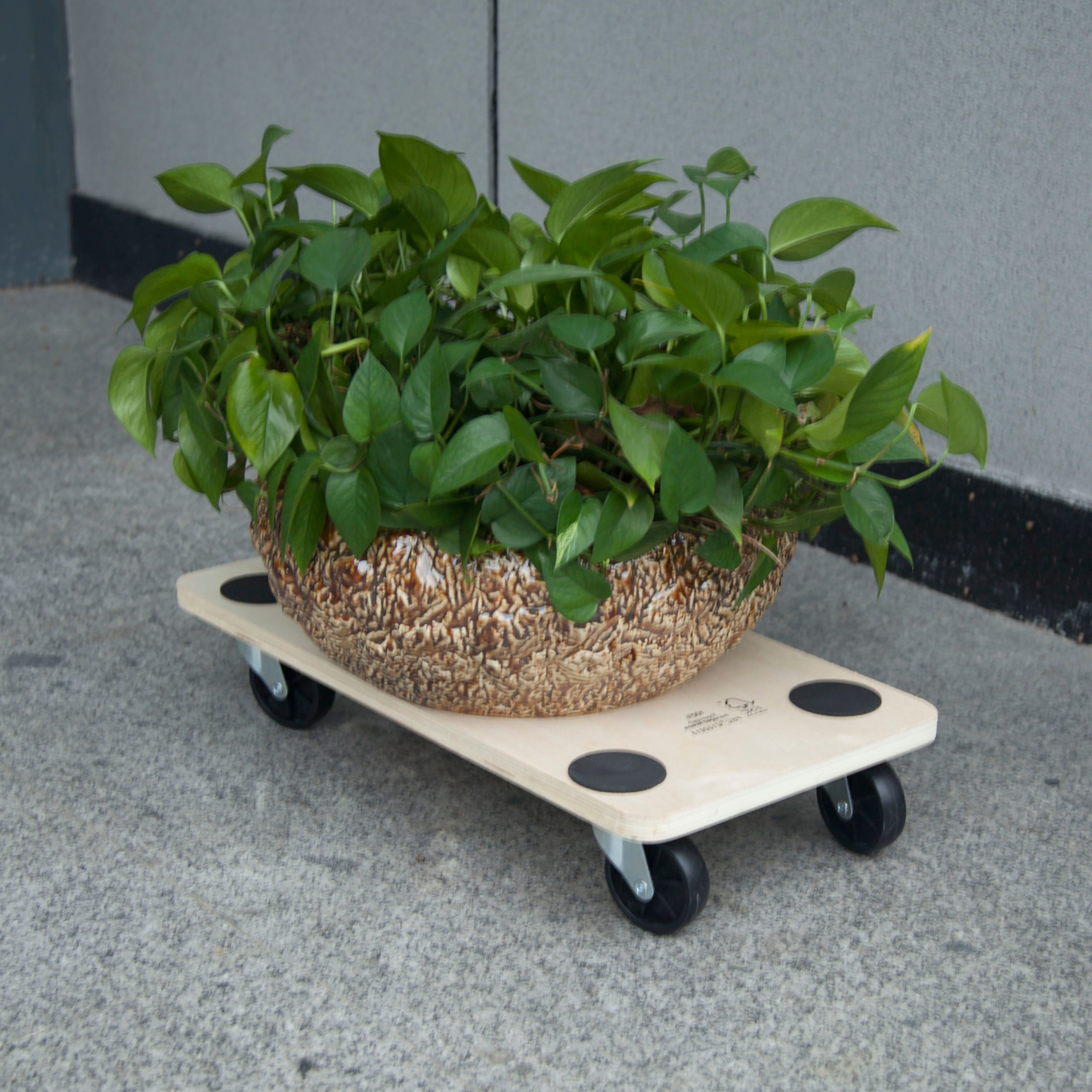 Diall Dolly, 200kg capacity