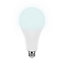 Diall E27 28W 3452lm GLS Neutral white LED Light bulb