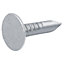Diall Galvanised Clout nail (L)12mm (Dia)3mm 2kg