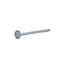 Diall Galvanised Clout nail (L)50mm (Dia)3mm 125g