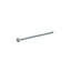 Diall Galvanised Round wire nail (L)100mm (Dia)4.5mm 125g