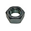 Diall M12 Carbon steel Hex Nut
