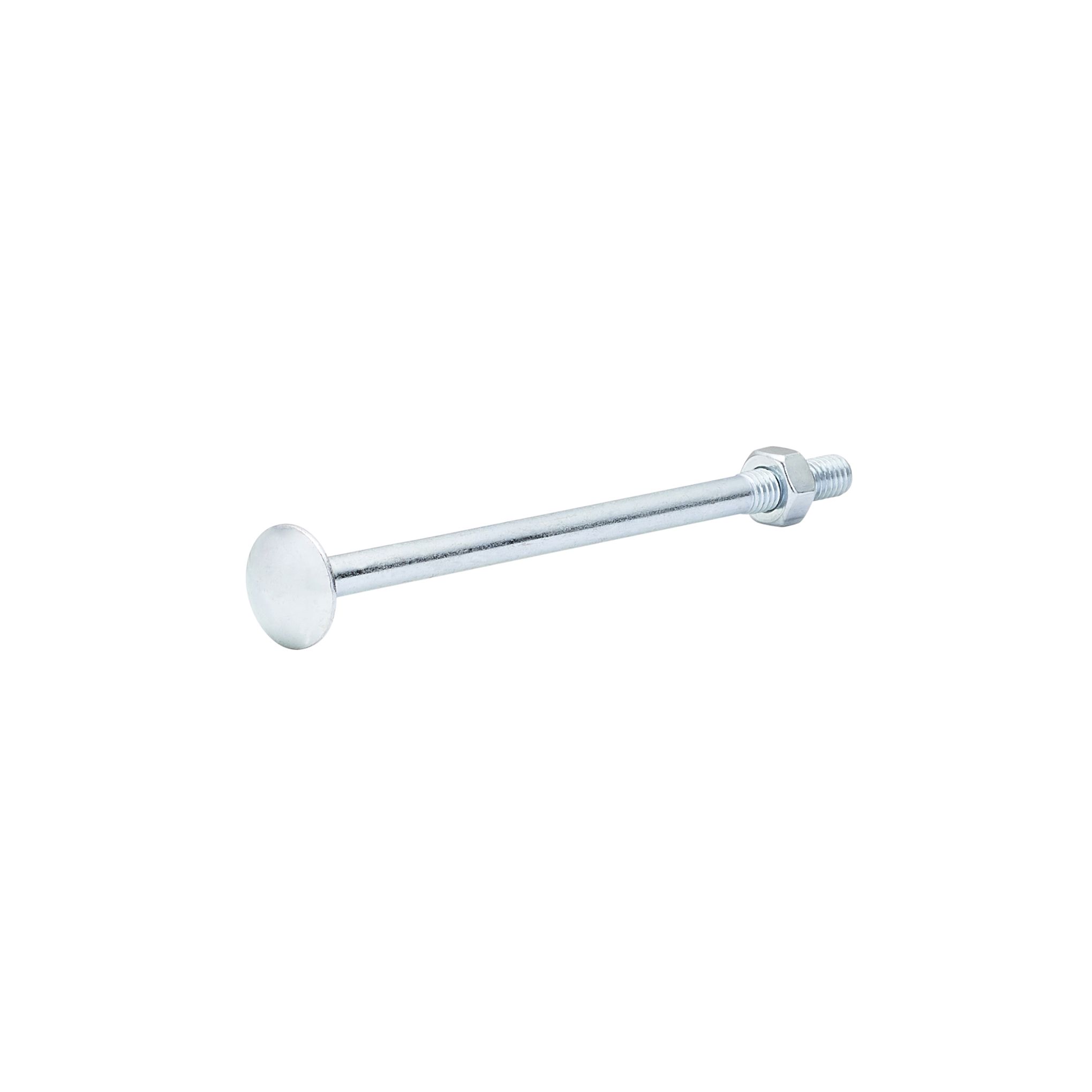 Diall M6 Coach bolt & nut (L)100mm, Pack of 10