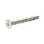 Diall Pozidriv Stainless steel Screw (Dia)5mm (L)50mm, Pack of 20