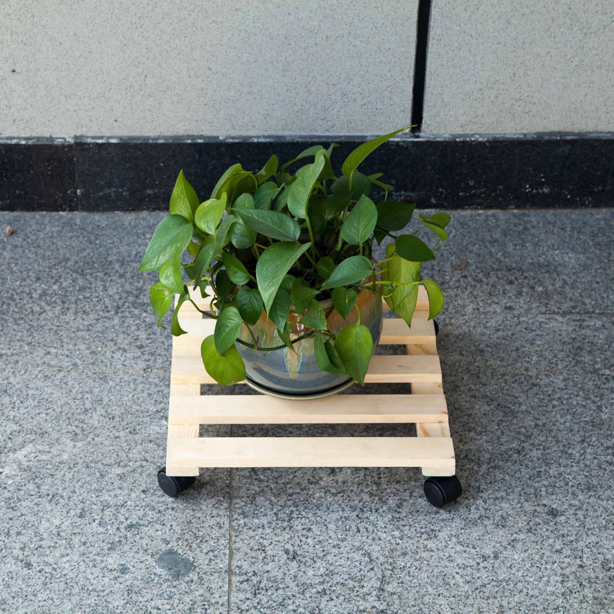 Diall Roller stand